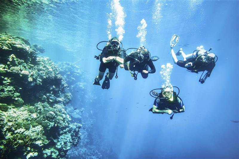 TUI MAGIC LIFE Redsina Sharm El Sheikh